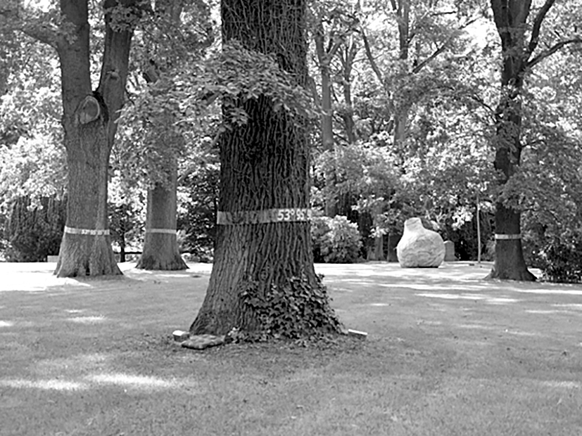 Parchim, Park