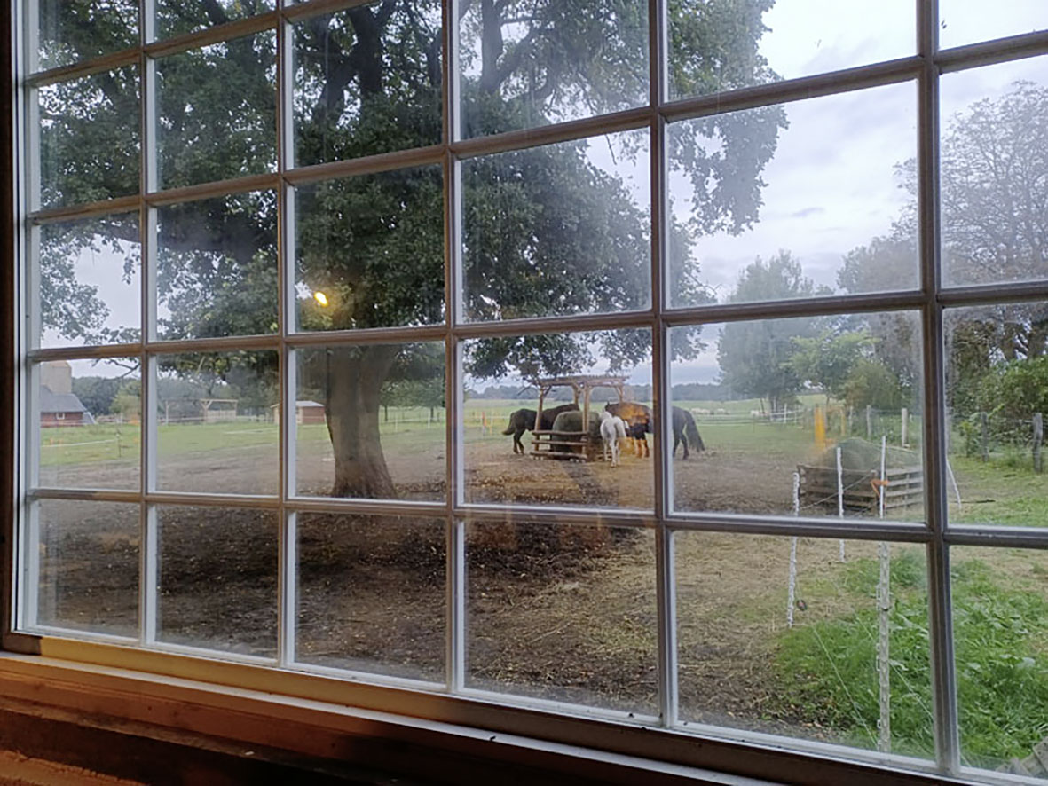 Fensterblick aus Ausstellungsort Kulturscheune Teutendorf(Foto: Christiane Lamberz)