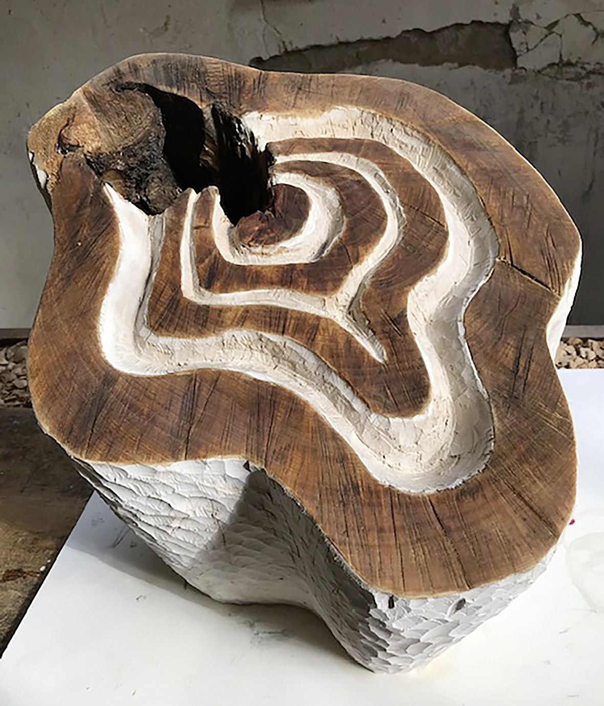 Mechthild Breme, Querschnitt eins, 2022, Lindenholz