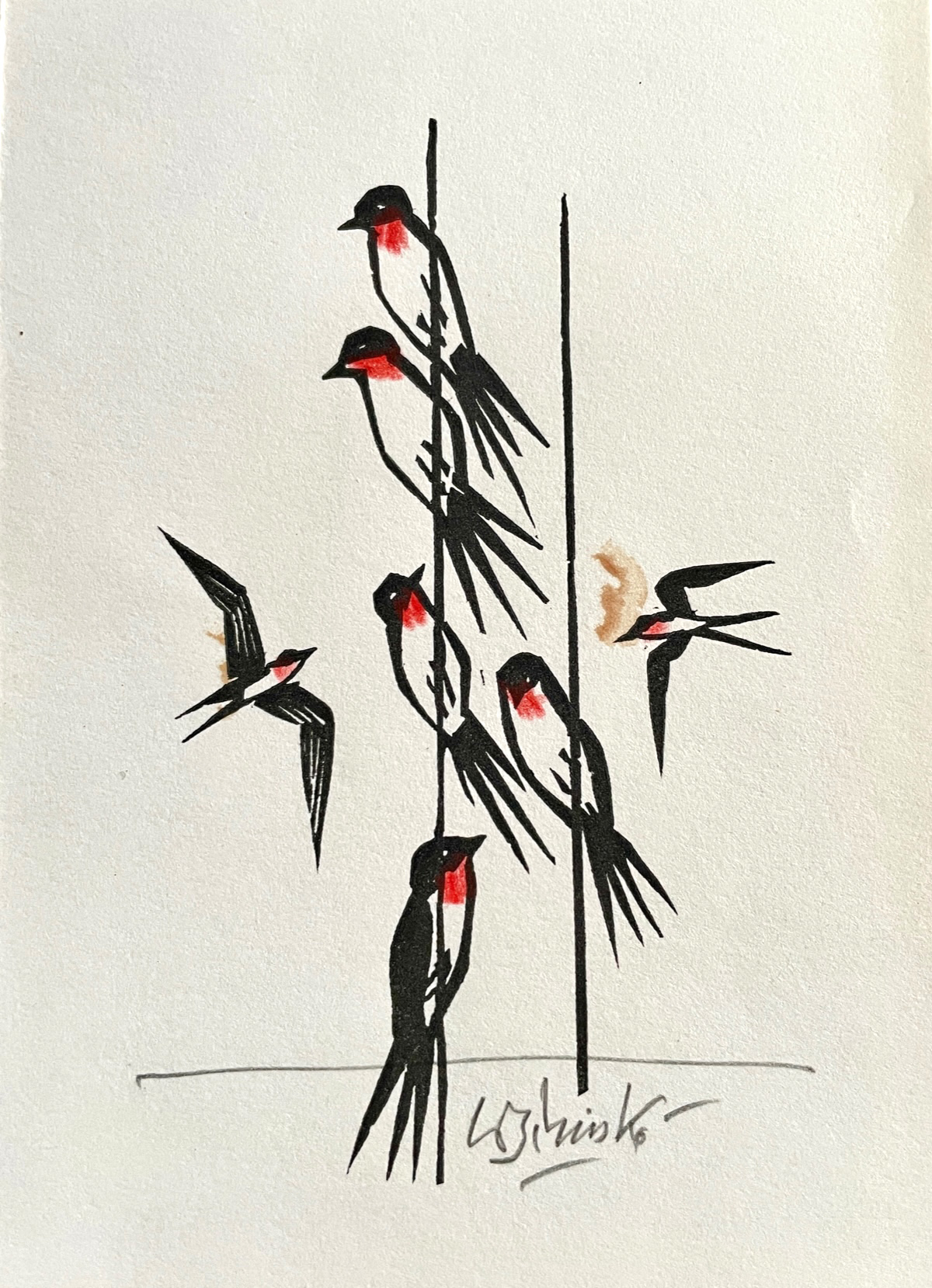 Werner Schinko, Schwalben. Graphik & Kolorit