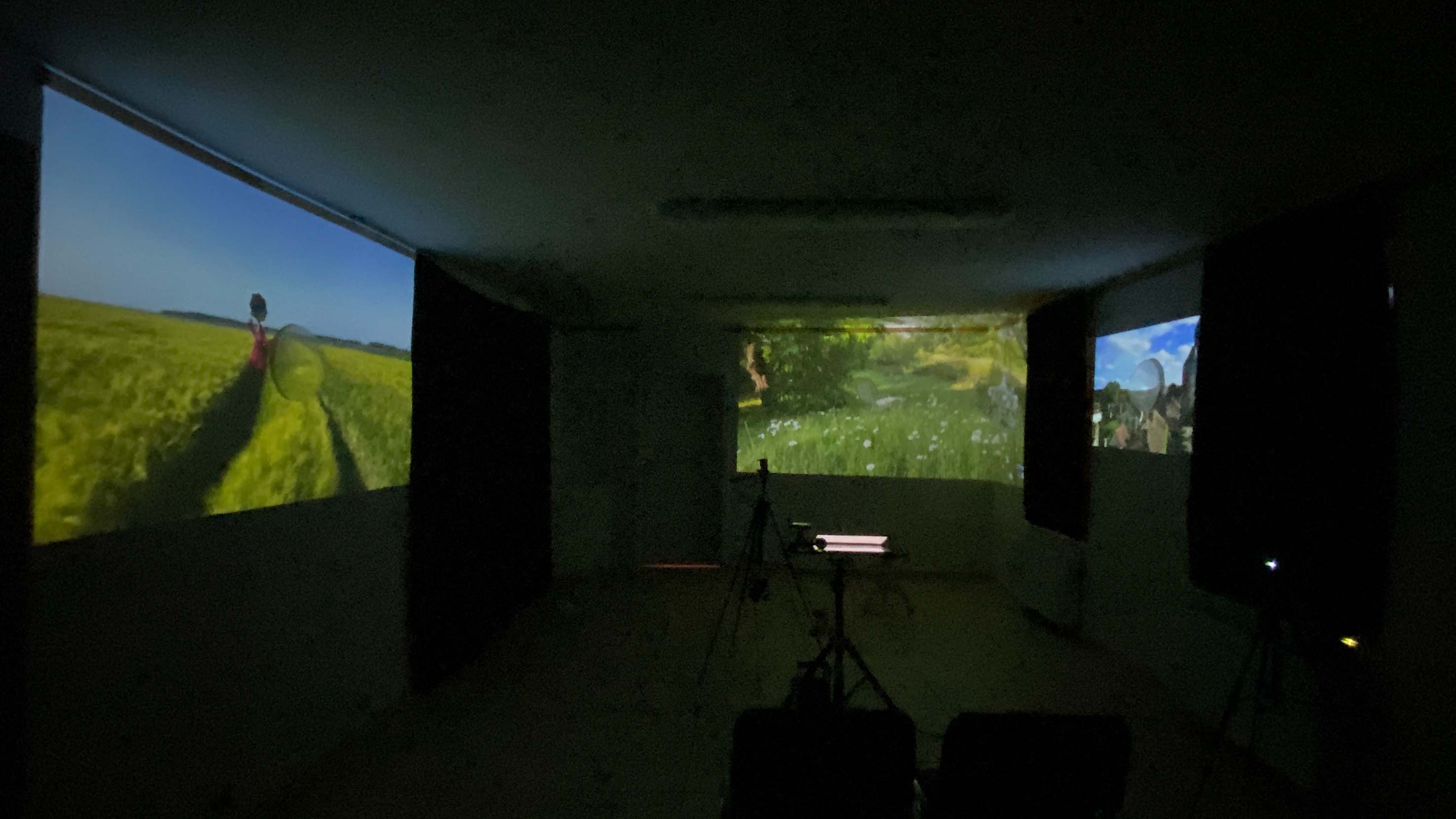 Daniela Melzig: Come with me. 2023, Dreikanal - Videoinstallation