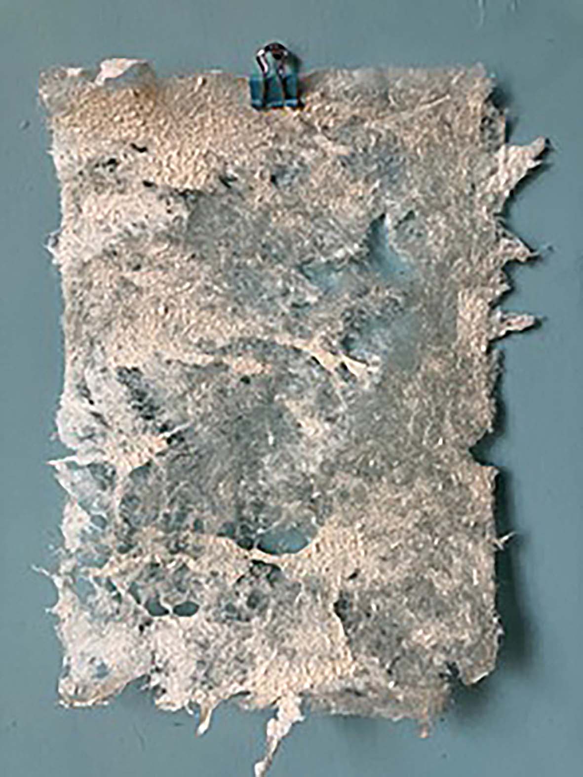 Silke Peters: In meinen Garten wächst Papier. 2024, Papier geschöpft, Maulbeerfaser