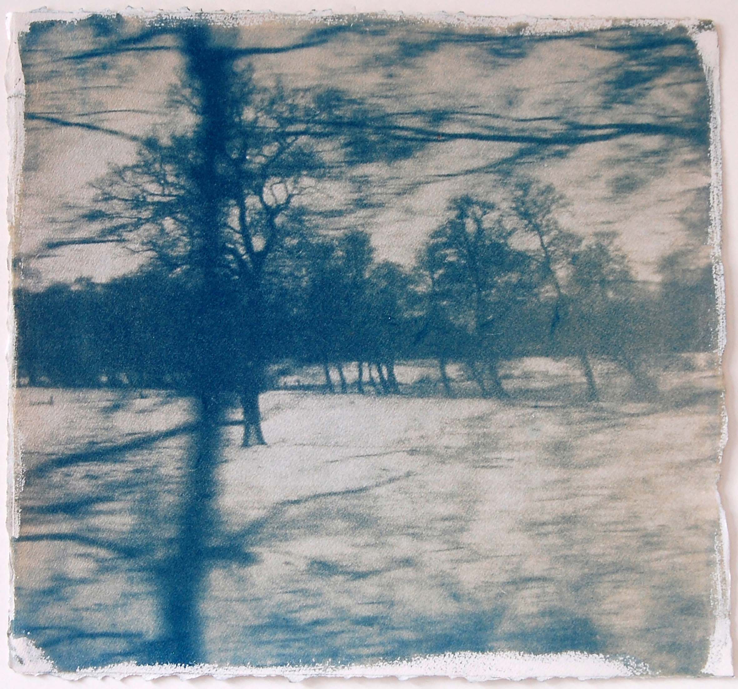 Katja Liebmann: Langsamkeit / 1. 2024, Cyanotypie auf Kupferdruckpapier