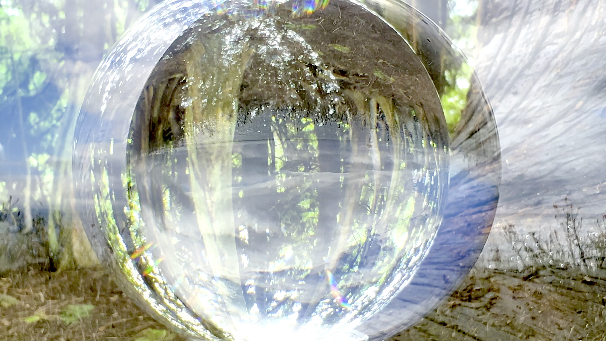 Gudrun Brigitta Nöh: Horizonte. Videostill