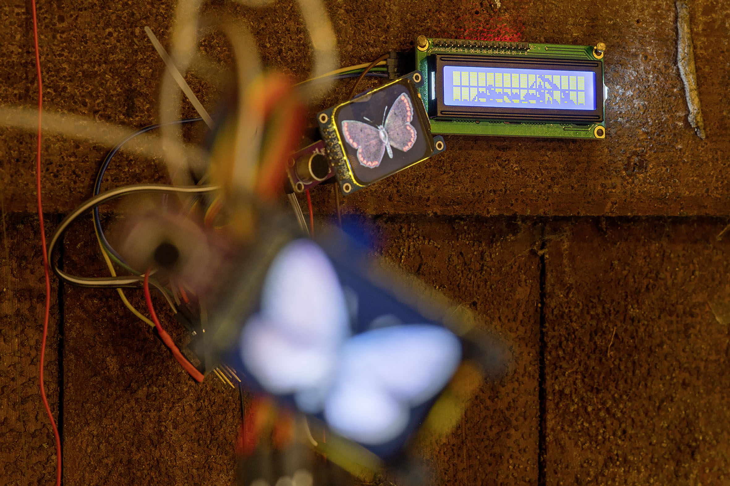 Detail von Bernd Riehms Installation "Herausforderungen", 2025
