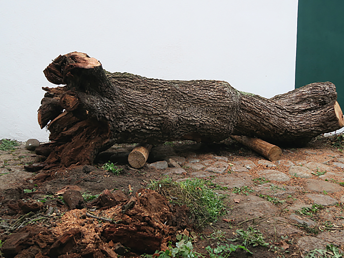 Crispin Gurholt: Ruhender Baum 2.