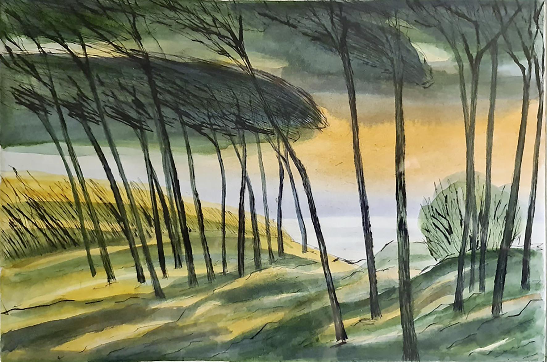 Britta Matthies: Darßwald. Kaltnadel/Aquarell