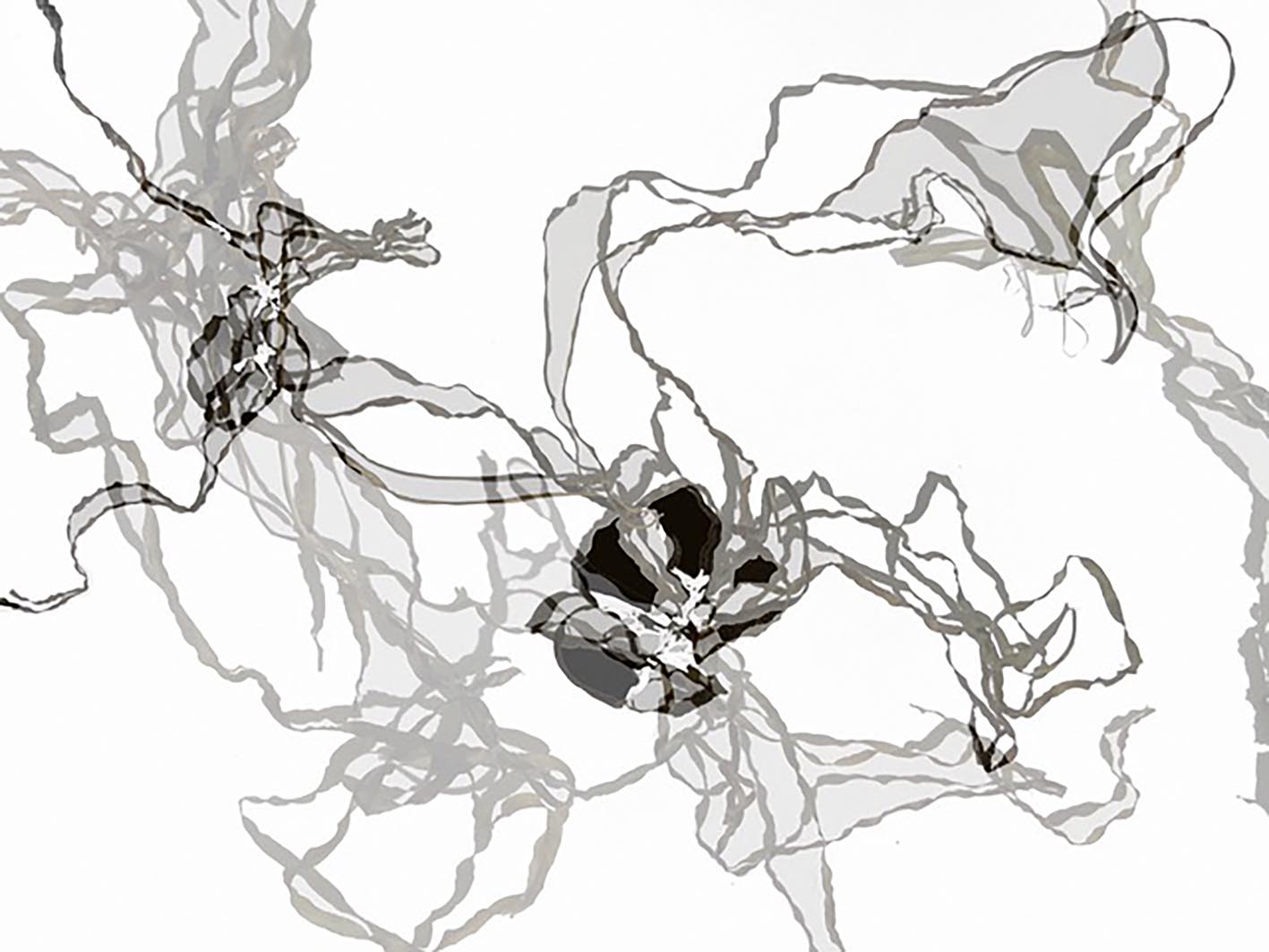 Christine Lengtat: Seegras-Stück II. 2023,  digitale Collage