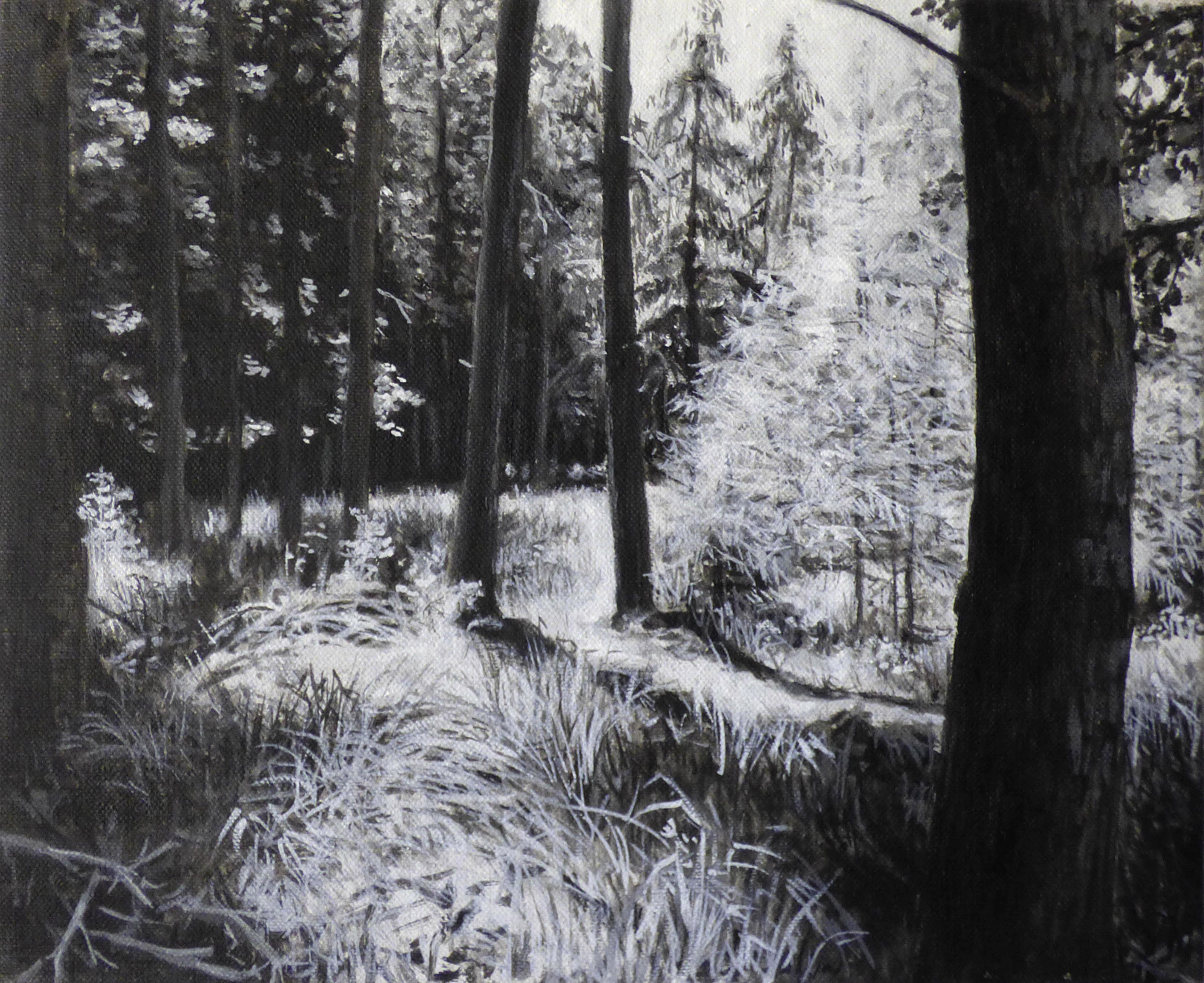 Stefan Thiel: Deutsche Landschaften - Schwarzenpfost. 2017-2019, Grisailletechnik, Öl auf Leinwand